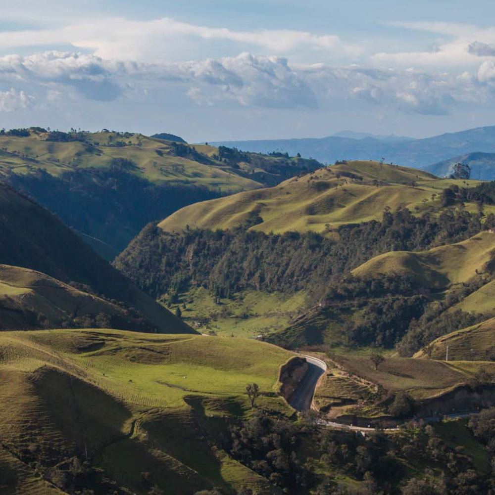 El Tambo The Asociación and You