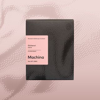 Gicherori, Kenya - Filter