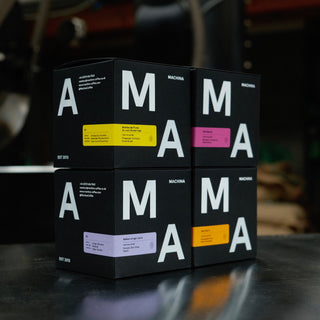 Signatures Collection Pack: 06,07,08,09