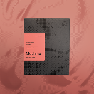 Mutambu, Burundi - Filter