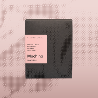 Nestor Lasso - Finca El Diviso, Colombia - Filter