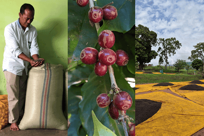 Index is our third blend, sitting alongside Vox Pop and Clockwork.